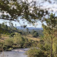 Tobias Altamirano
